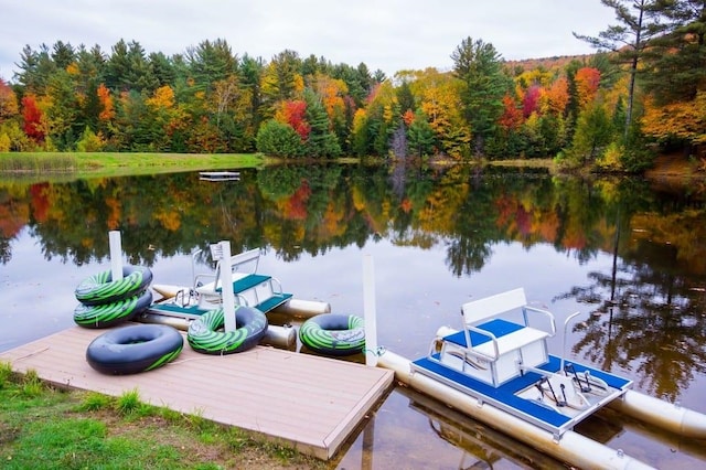 dock with a water view and a view of trees