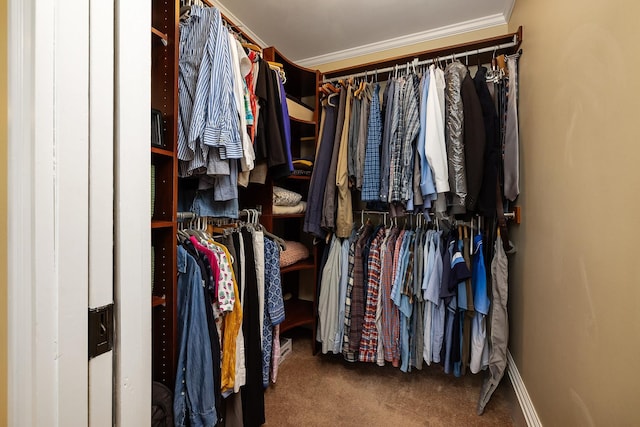 spacious closet with carpet flooring
