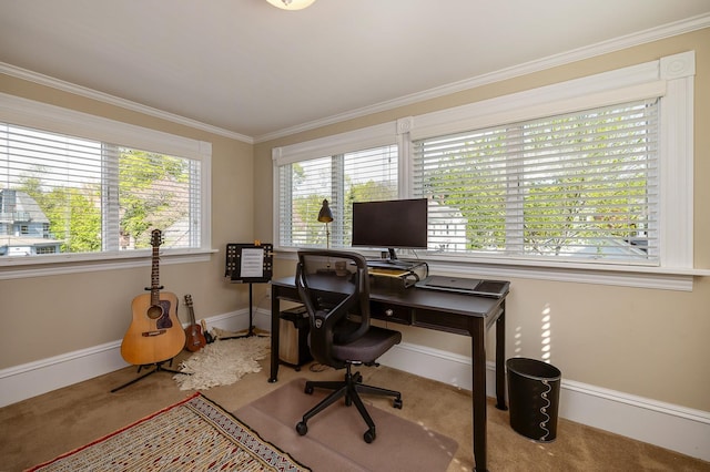 office space with crown molding, baseboards, and carpet