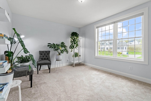 living area with carpet and baseboards