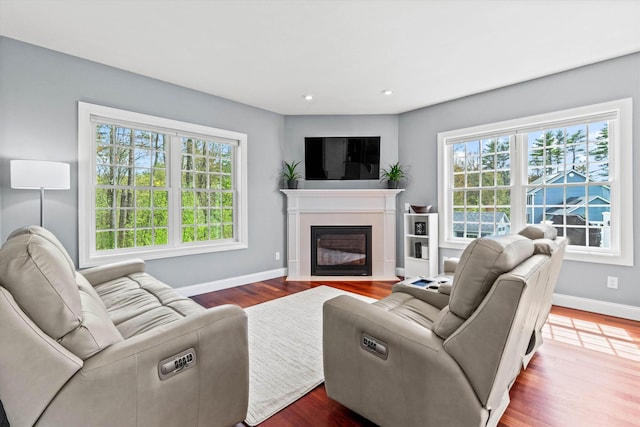 living area featuring baseboards, wood finished floors, a fireplace with flush hearth, and recessed lighting