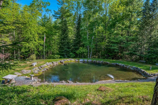 water view with a forest
