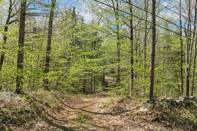 113 Federal Corner Rd, Tuftonboro, NH 03816