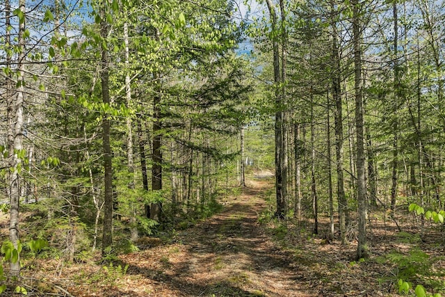 113 Federal Corner Rd, Tuftonboro, NH 03816