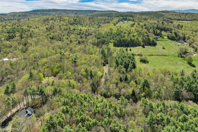 113 Federal Corner Rd, Tuftonboro, NH 03816