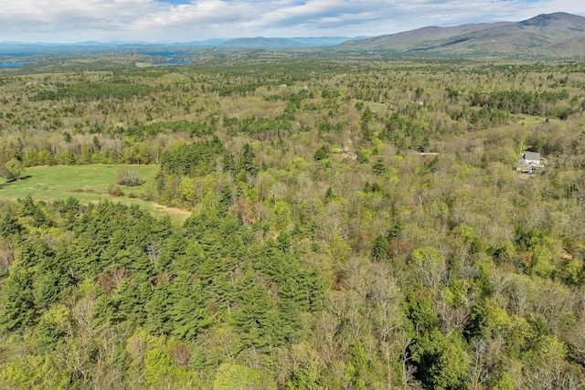 113 Federal Corner Rd, Tuftonboro, NH 03816
