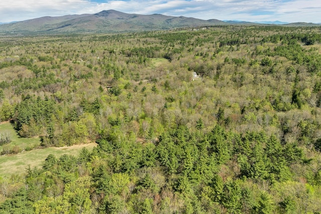 113 Federal Corner Rd, Tuftonboro, NH 03816