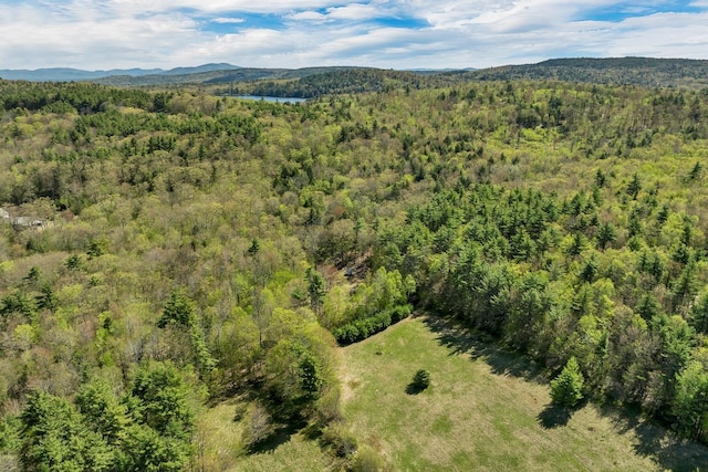 113 Federal Corner Rd, Tuftonboro, NH 03816