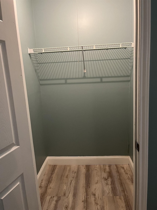spacious closet featuring wood finished floors