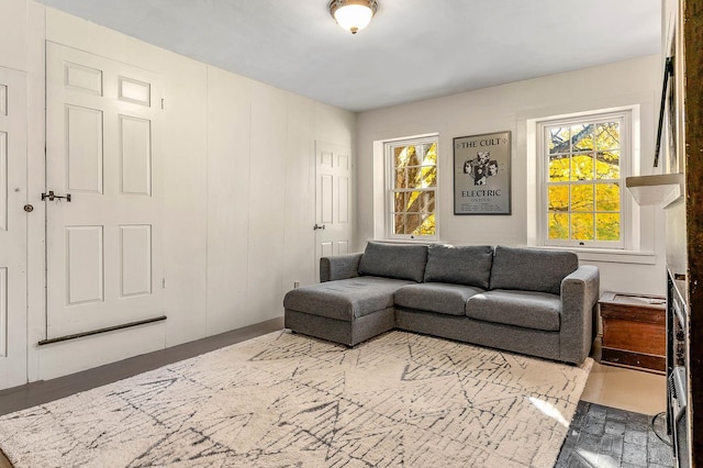 living room with plenty of natural light