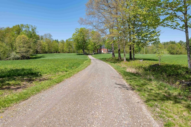 view of dirt / gravel road featuring a view of trees