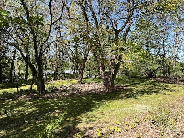 view of grassy yard