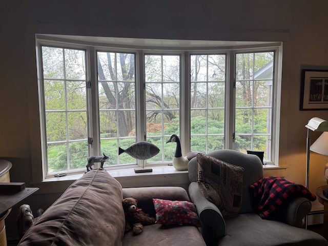 living area with healthy amount of natural light