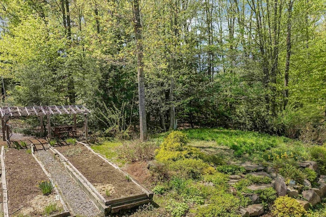141 Gallahad Ln, Bristol, NH 03222 - view of yard featuring a vegetable garden and a view of trees