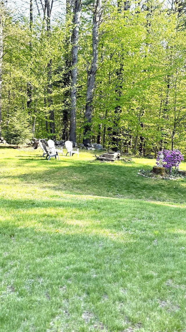 171 Stoneham Rd, Wakefield, NH 03872 - view of green lawn