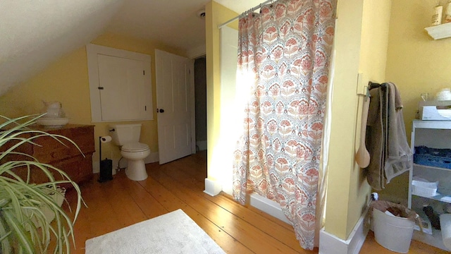 171 Stoneham Rd, Wakefield, NH 03872 - bathroom with hardwood / wood-style floors, toilet, and lofted ceiling