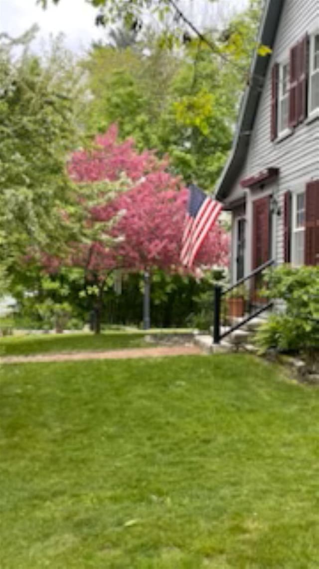 171 Stoneham Rd, Wakefield, NH 03872 - view of green lawn