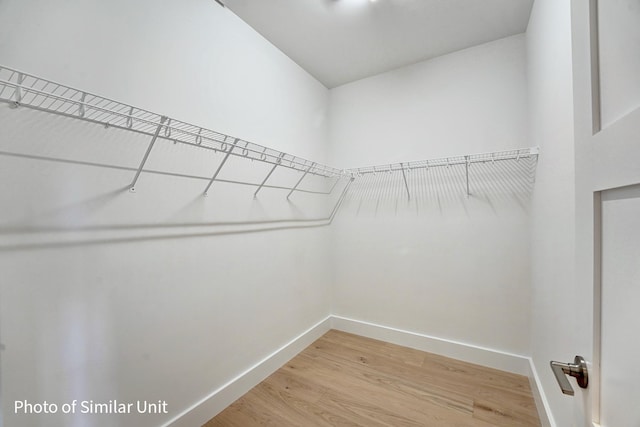 4 Fowler Dr, Rye, NH 03870 - walk in closet featuring light wood-type flooring