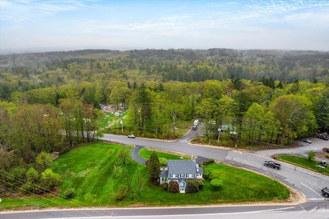 3 King Rd, Chichester, NH 03258 - aerial view of a heavily wooded area