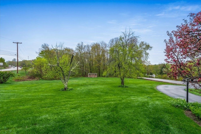 3 King Rd, Chichester, NH 03258 - view of property's community featuring a lawn