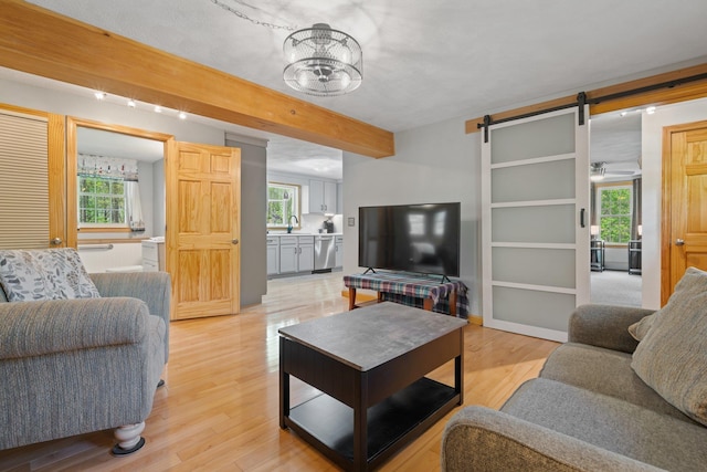 living room featuring a barn door, beamed ceiling, healthy amount of natural light, light wood-style floors, and a chandelier