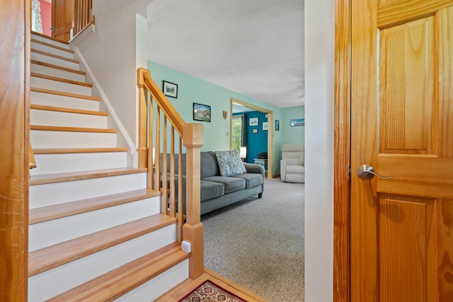 stairway featuring carpet flooring