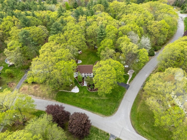 drone / aerial view of a heavily wooded area