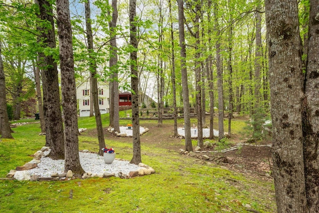 view of green lawn