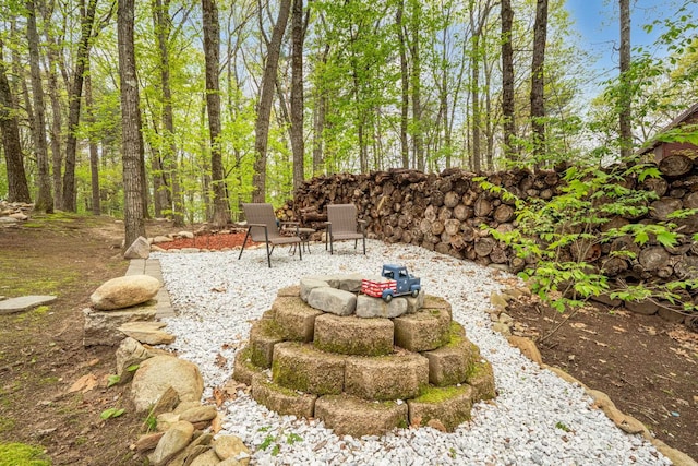 view of yard featuring a patio area