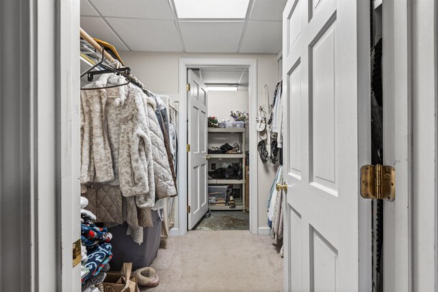 17 Dyson Dr, Salem, NH 03079 - spacious closet featuring carpet flooring and a paneled ceiling