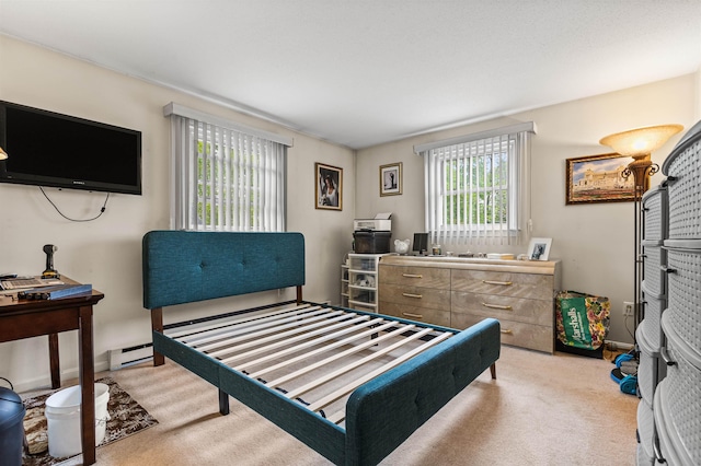 17 Dyson Dr, Salem, NH 03079 - bedroom with carpet floors and baseboard heating