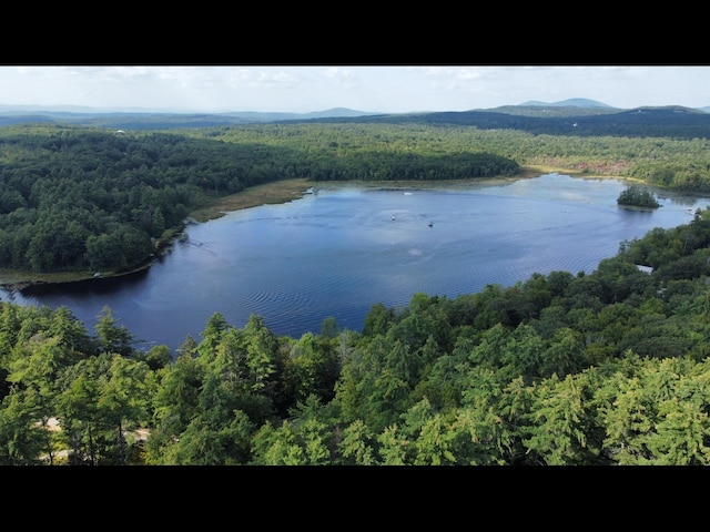aerial view of a heavily wooded area and a water and mountain view