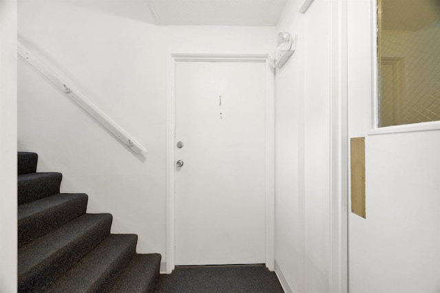 stairway with carpet flooring