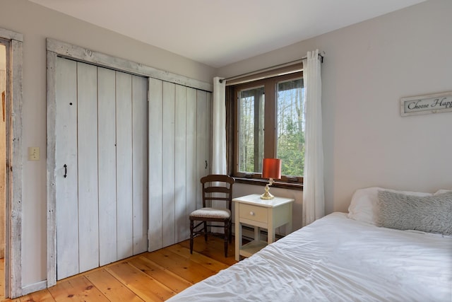 67 Birch Tree Ln, Fayston, VT 05673 - bedroom featuring light wood-style floors and a closet