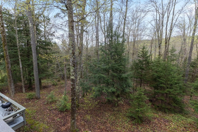 67 Birch Tree Ln, Fayston, VT 05673 - view of woods