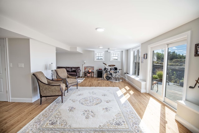 20 Del Ray Dr, Windham, NH 03087 - living room featuring light wood finished floors, healthy amount of natural light, and baseboards
