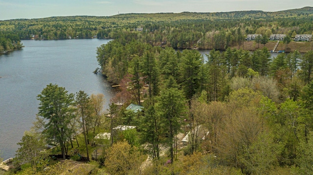 59 Lake Rd, Wakefield, NH 03872 - view of property location featuring a heavily wooded area and a large body of water