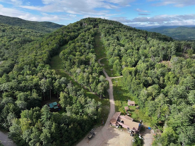 aerial overview of property's location with a heavily wooded area and a mountainous background