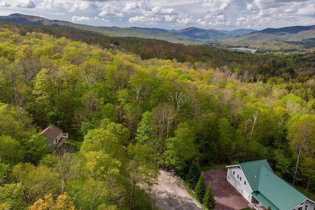 22-145 Priscilla Ln, Killington, VT 05751