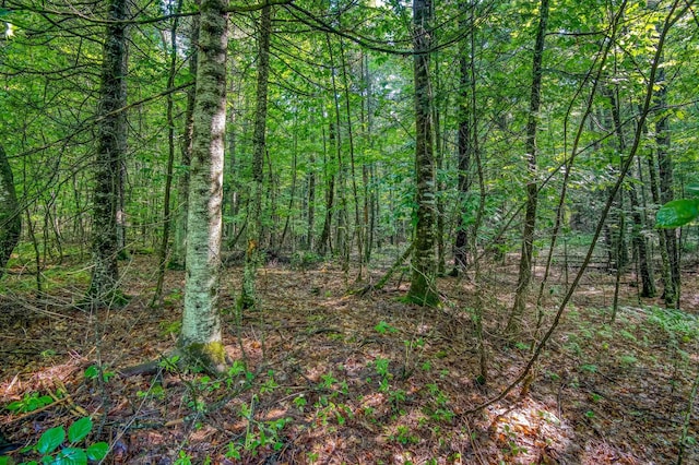 38F Lang Rd, Bath, NH 03740