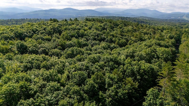 38F Lang Rd, Bath, NH 03740