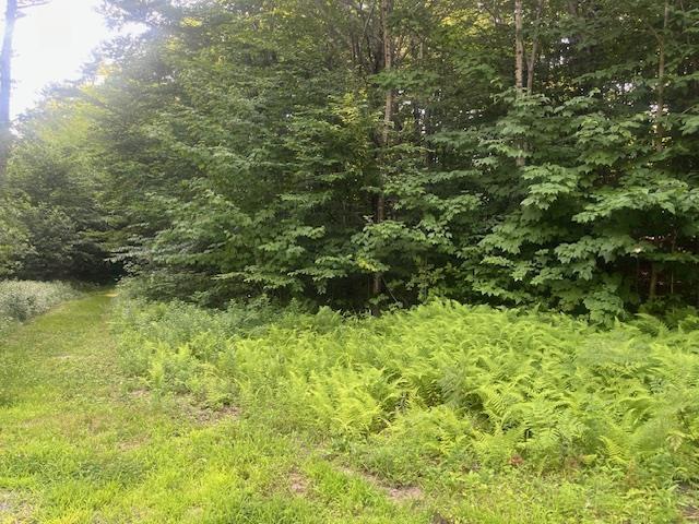 00 Aspen Dr, Tuftonboro, NH 03816