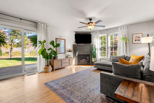 living area featuring plenty of natural light, ceiling fan, and wood finished floors