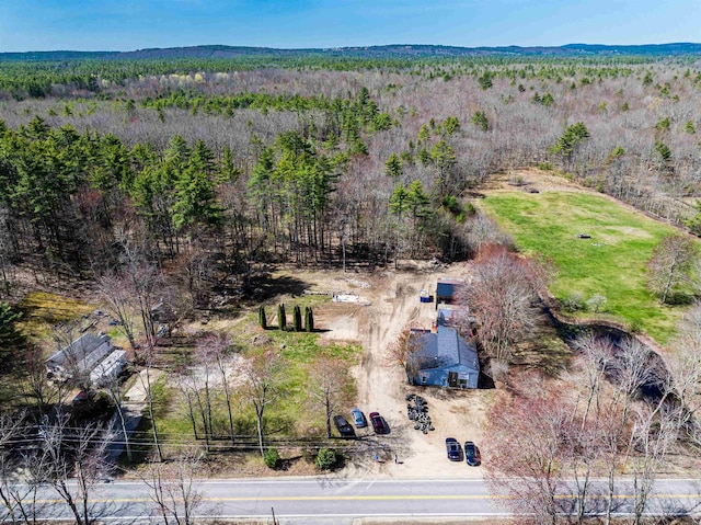 view of subject property with a forest