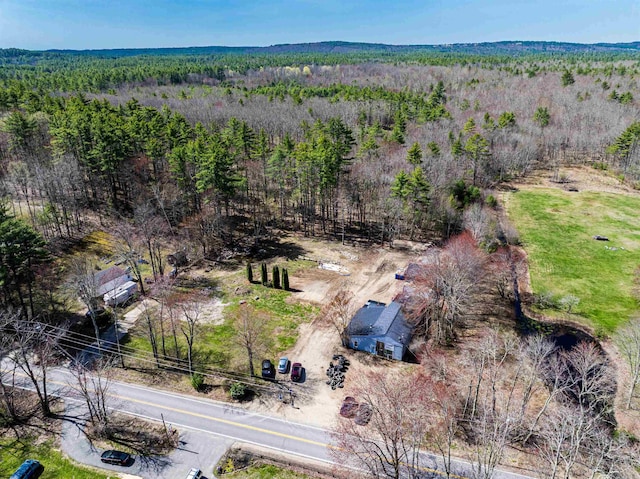 aerial view of a forest