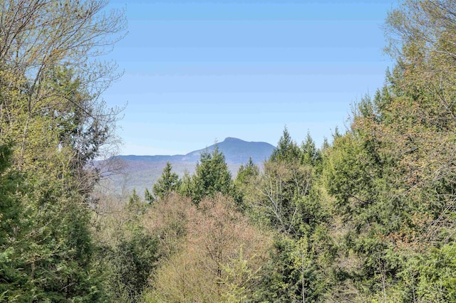 581 Perry Lea Rd, Waterbury, VT 05676