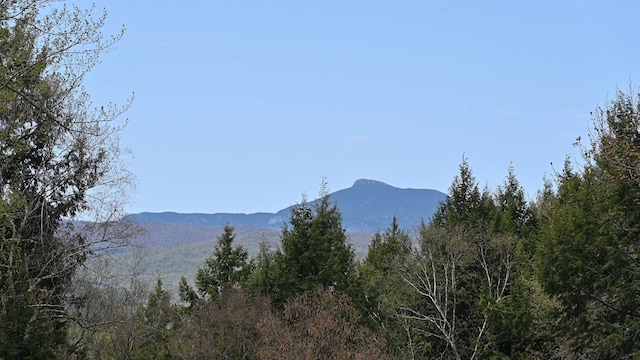 581 Perry Lea Rd, Waterbury, VT 05676