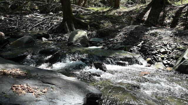 581 Perry Lea Rd, Waterbury, VT 05676