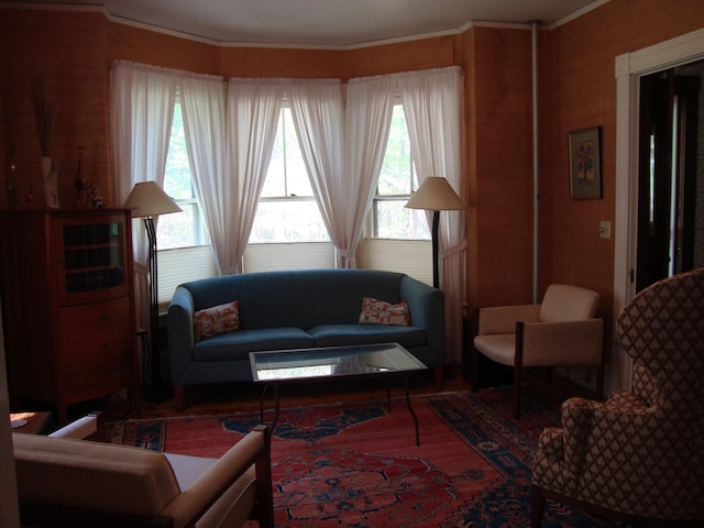 living area featuring crown molding