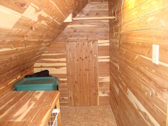 spacious closet with vaulted ceiling